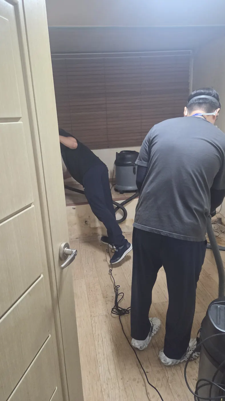 오염 제거 — 동래구 침수청소 현장