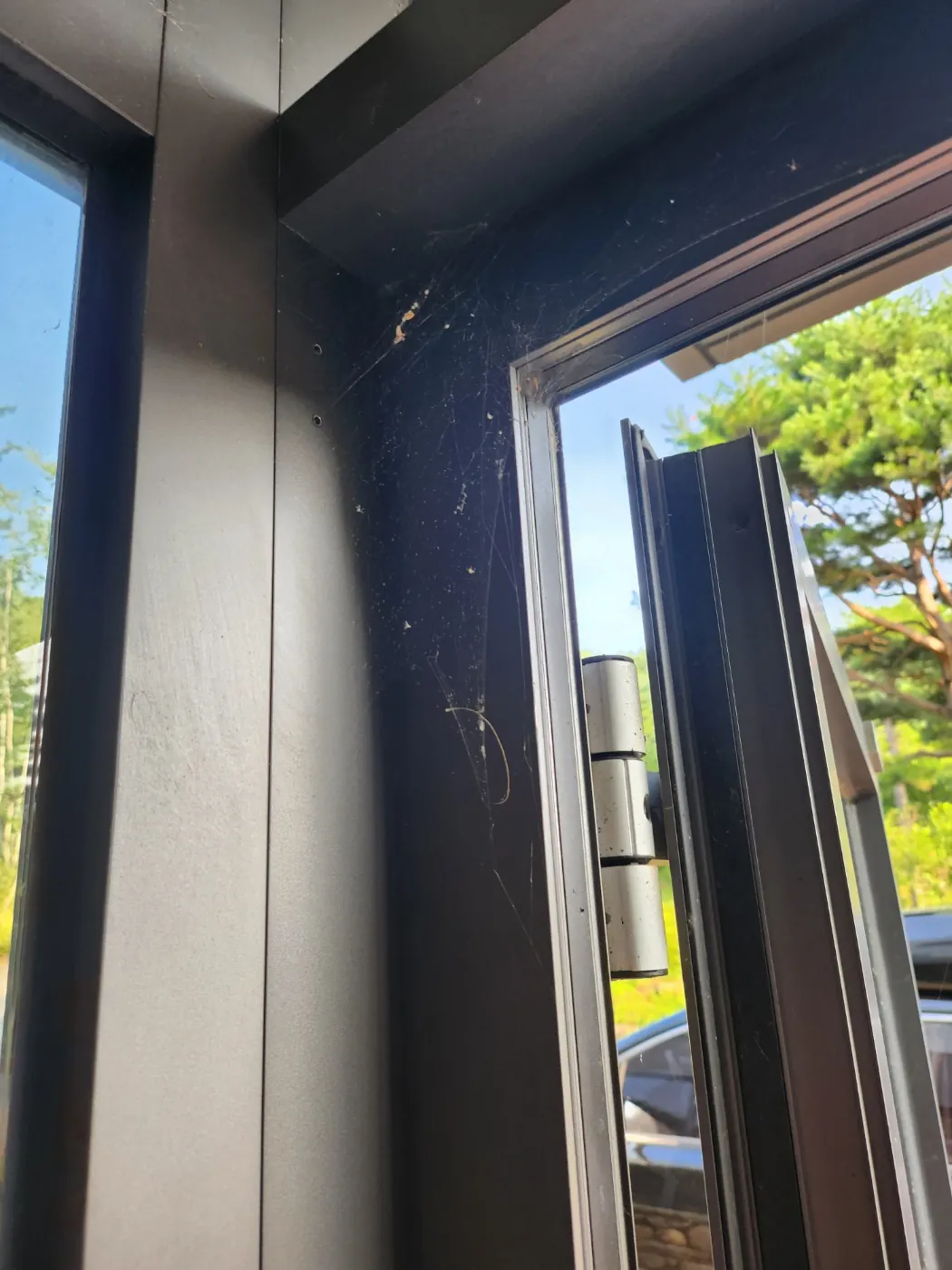 커튼월 유리 세정 — 다대동 준공청소 현장